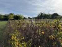 Pátka Családi ház