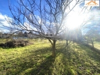 Sárszentmihály Telek