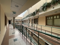 Székesfehérvár Lakás (téglaépítésű)