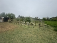 Mohács Családi ház